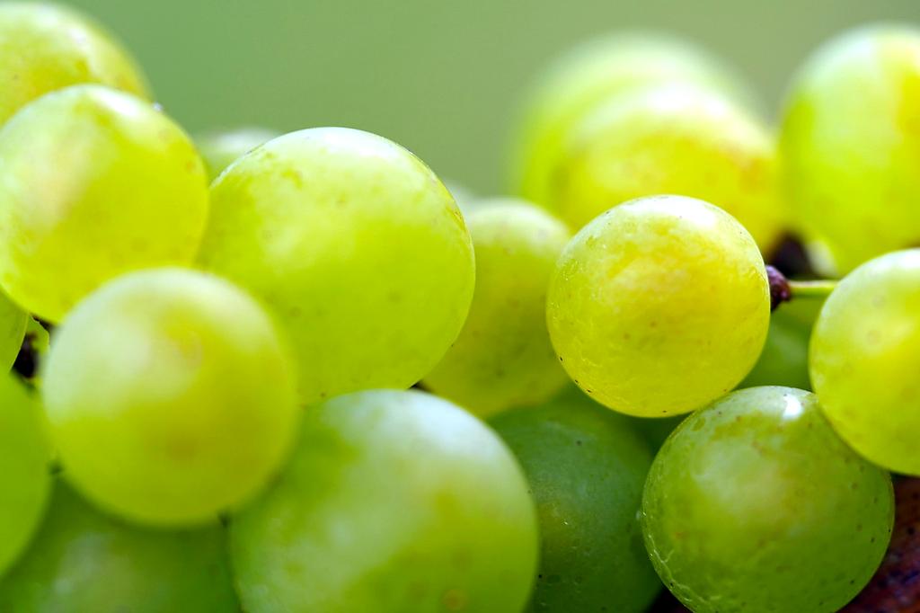 lonozyu ofis haritası Kadıköy