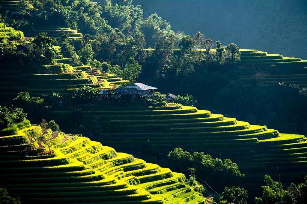 Ekibimizden Ahmet Yılmaz