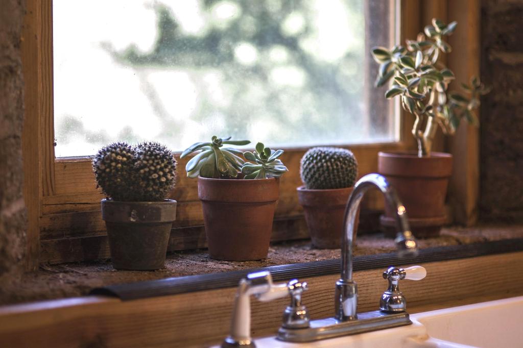 Müşteri fotoğrafı